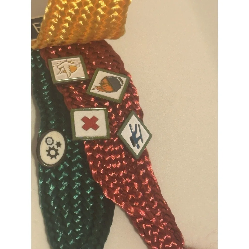 Boy Scouts Of America Webelos Pin Collection